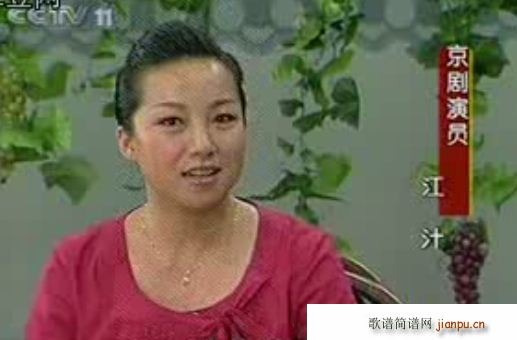 ������(���ָ��V)1