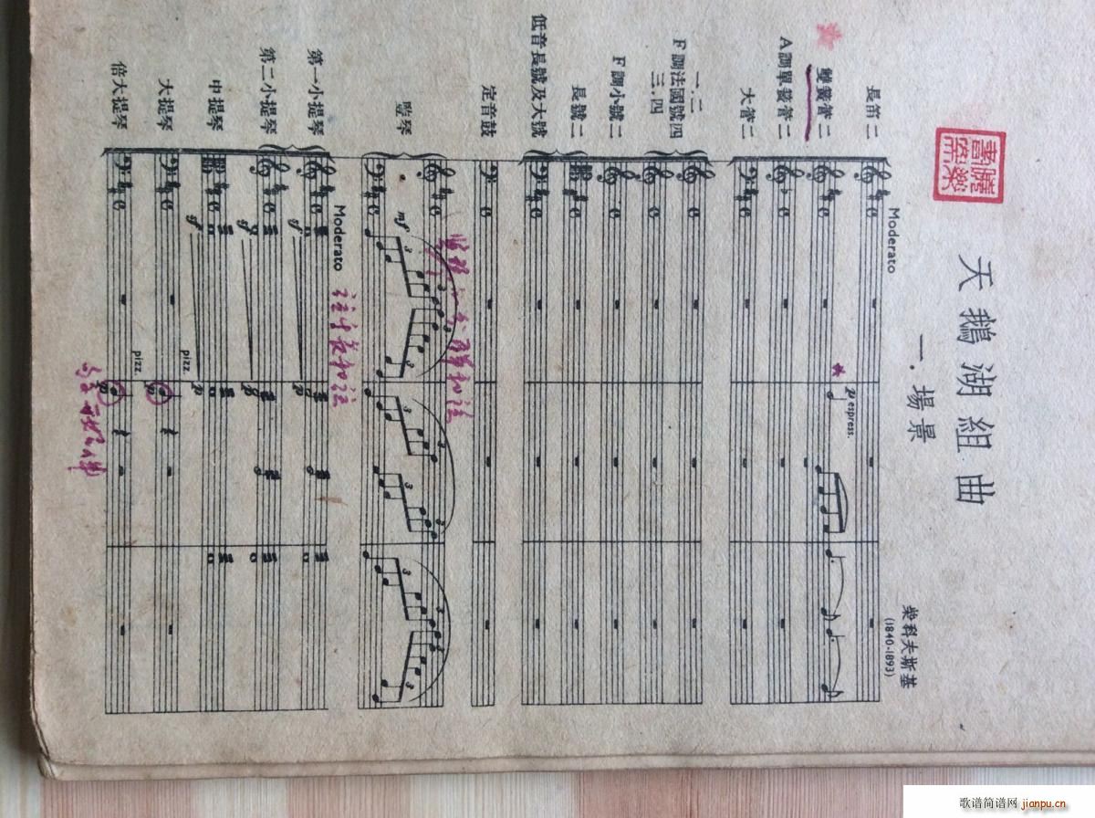 �����脡 ���Z��(���V)1