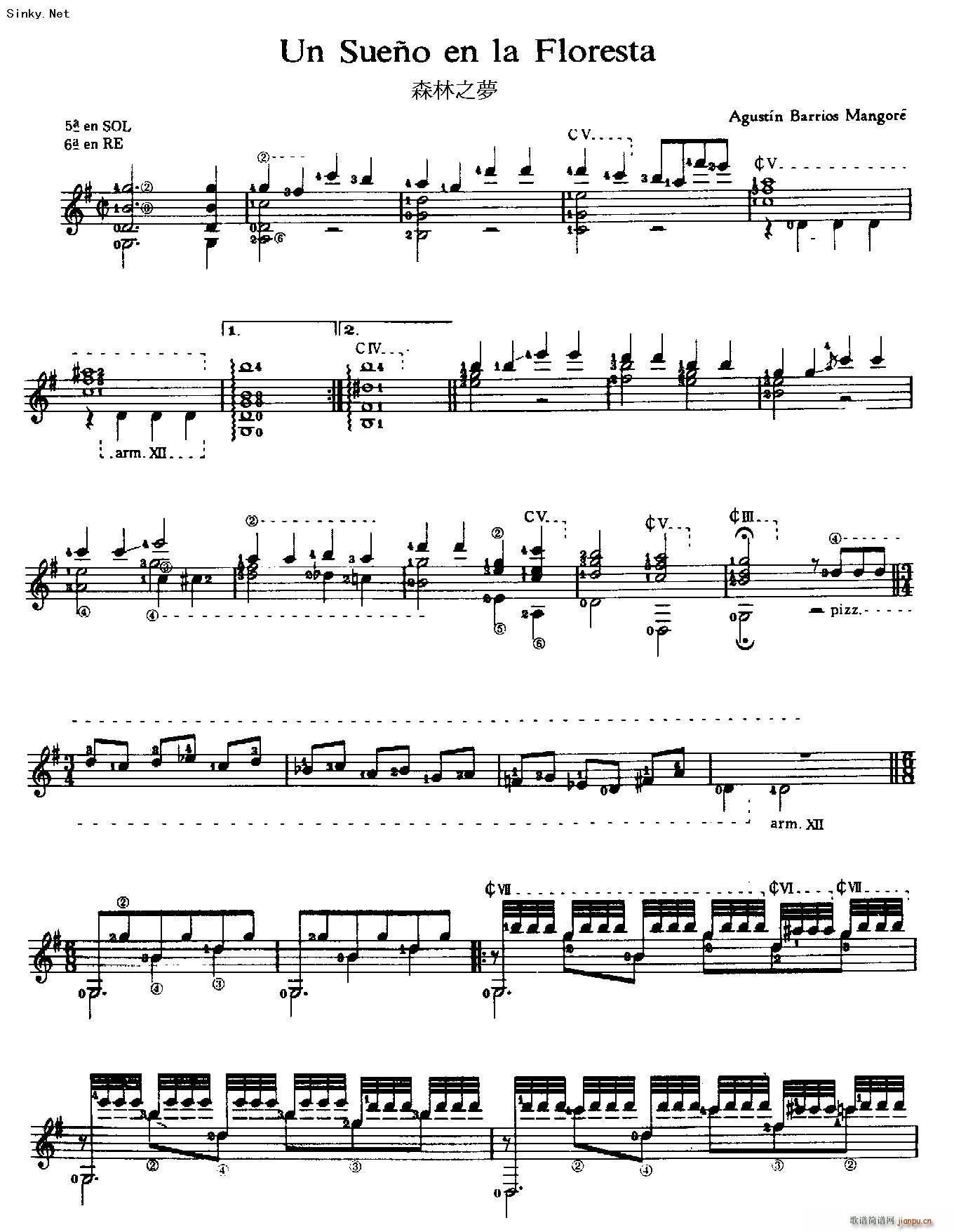 ��(m��ng)�е�ɭ��1(�����V)1