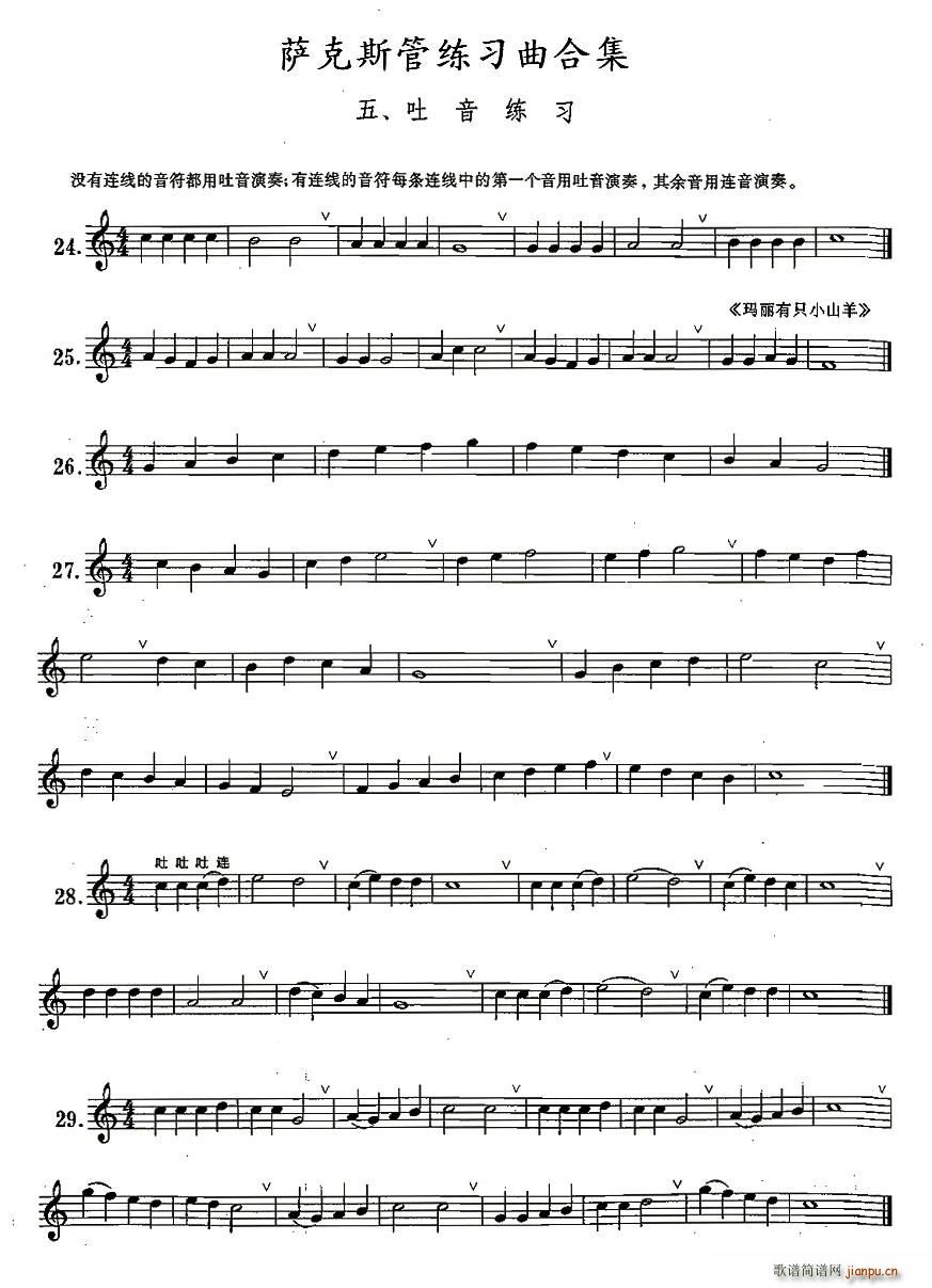 5����������(���ָ��V)1