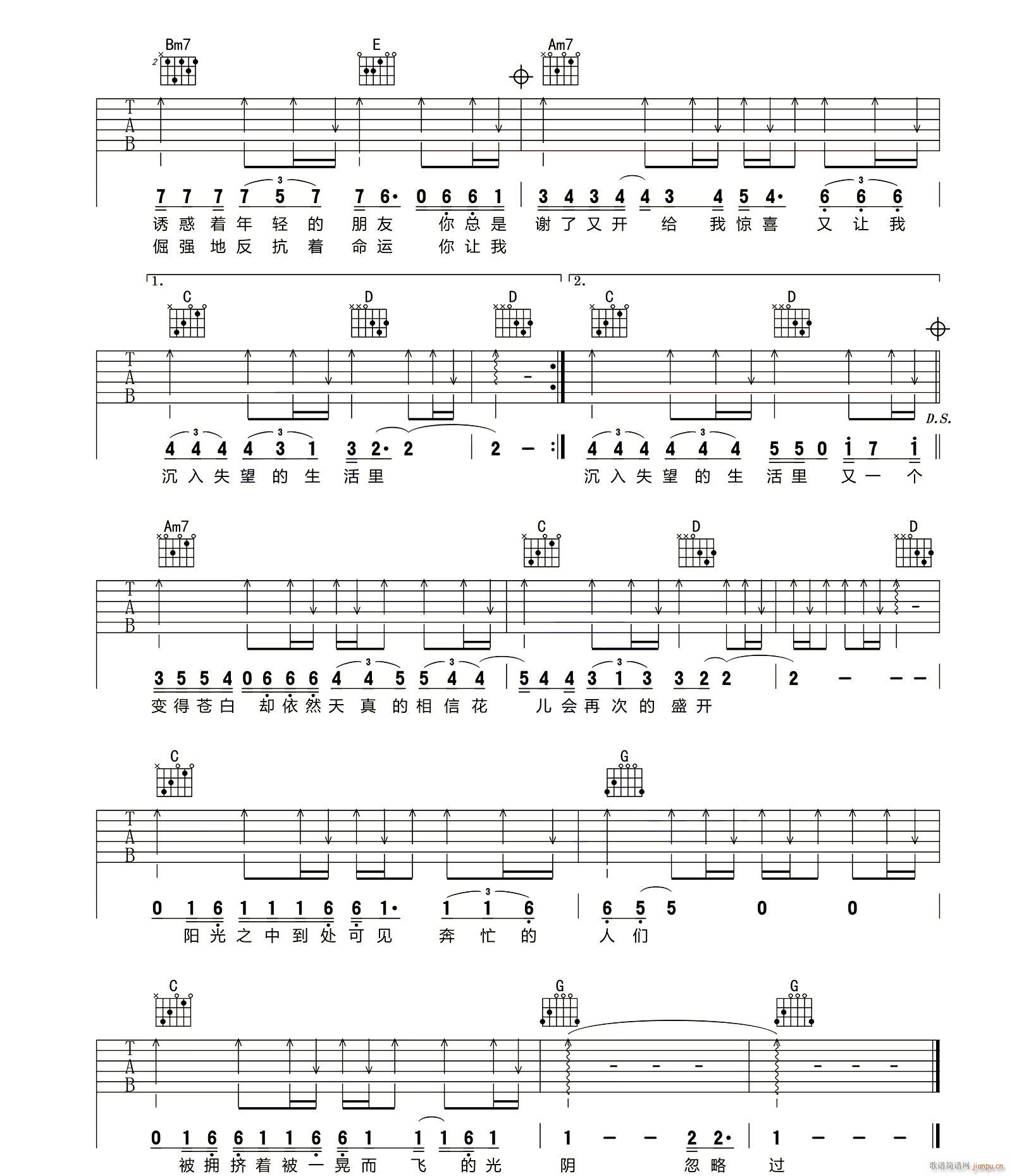 ���� G�{ָ��ԭ�澎��(�����V)3