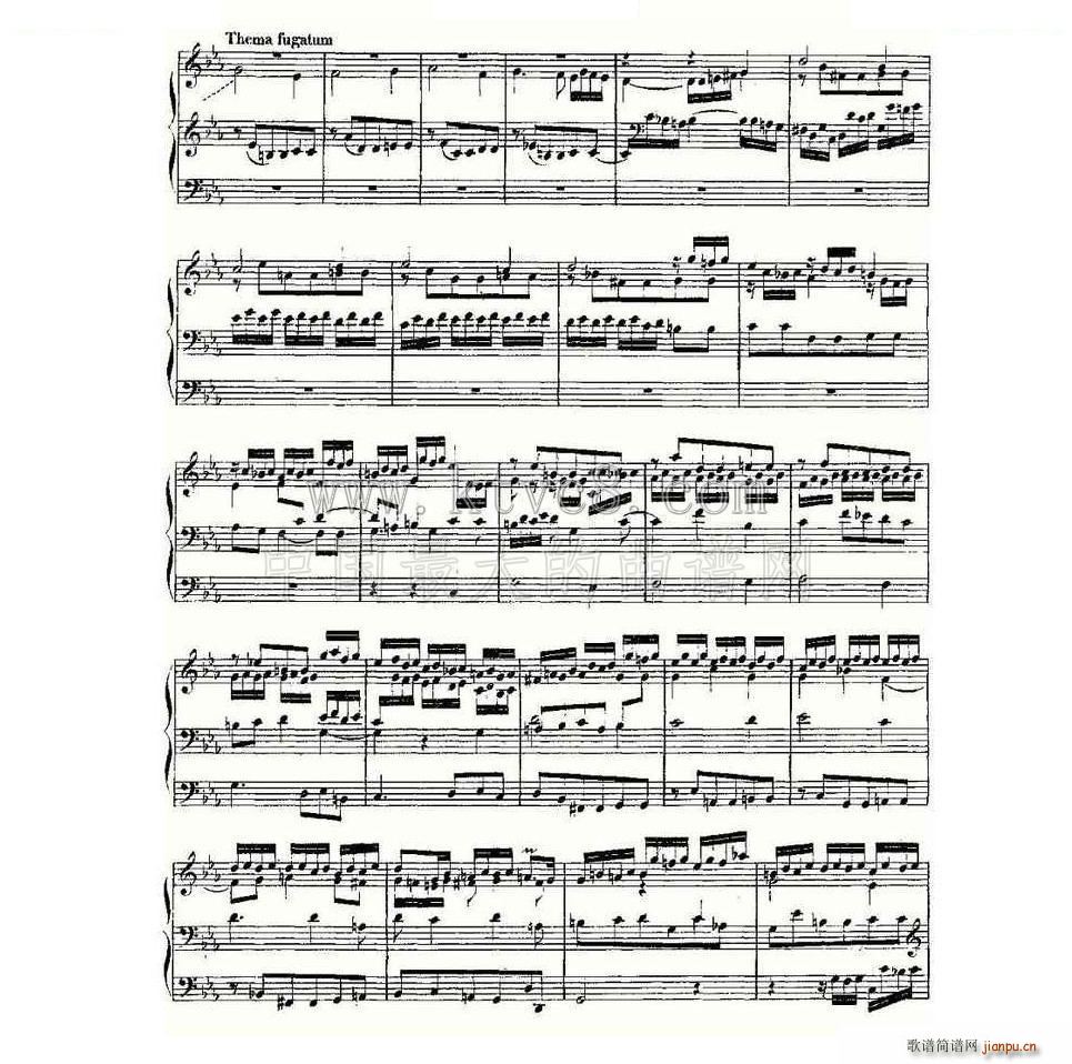 Passacaglia and Fugue in C Minor BWV 582 ���L(f��ng)���V(ʮ�ּ�����)8