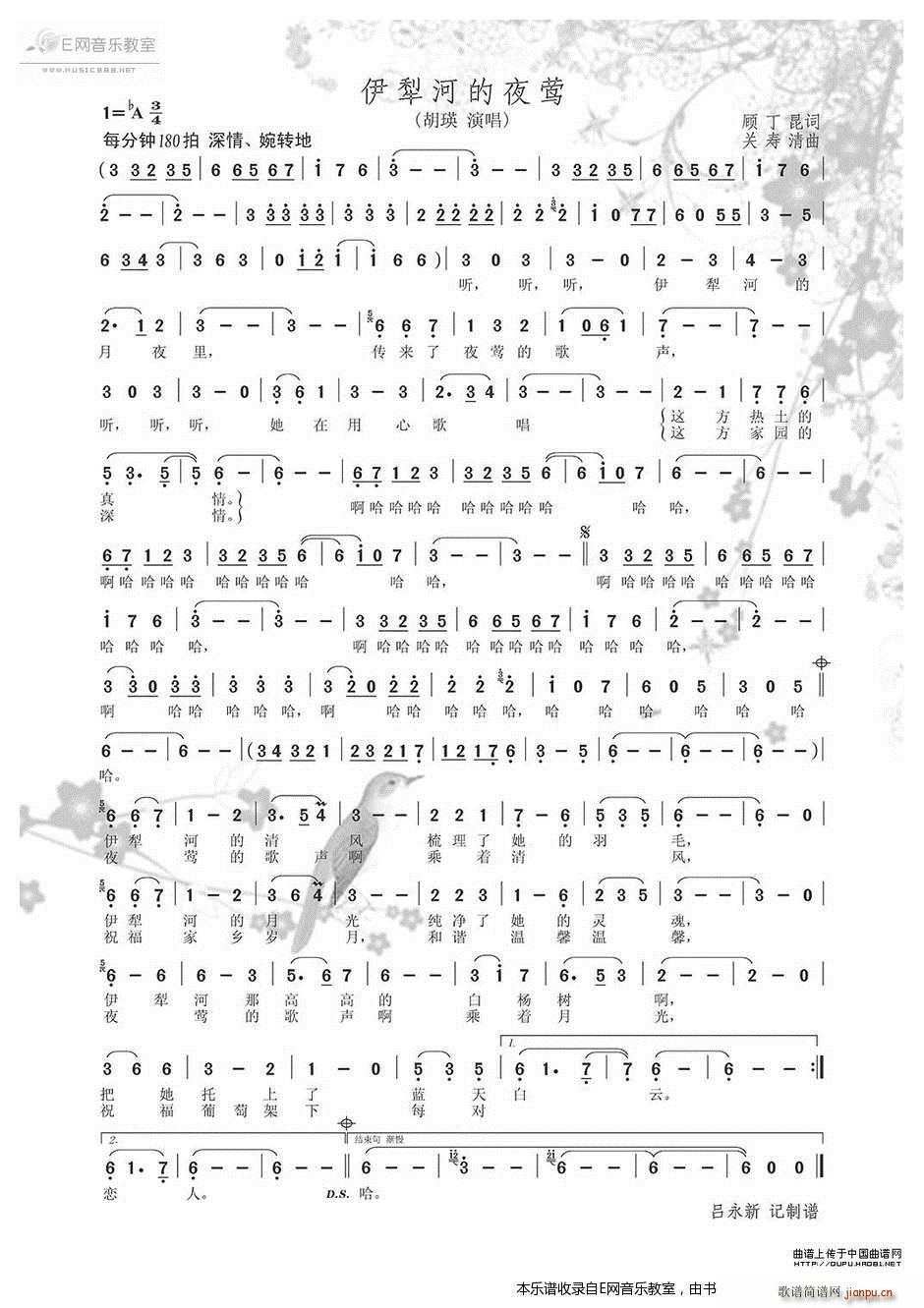 ����ӵ�ҹ�L ����(���ָ��V)1