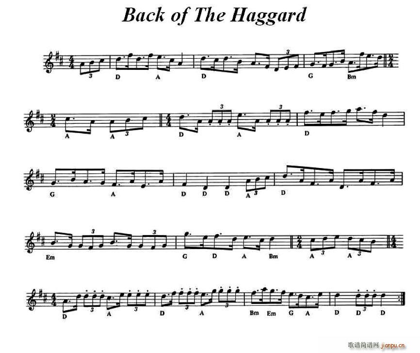 Back of The Haggard ��(��i)���m���(ʮ�ּ�����)1