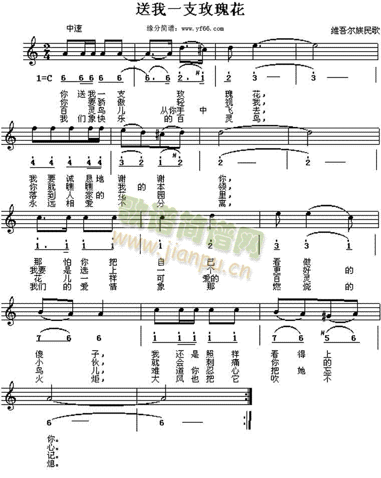 ����һ��õ�廨(���ָ��V)1