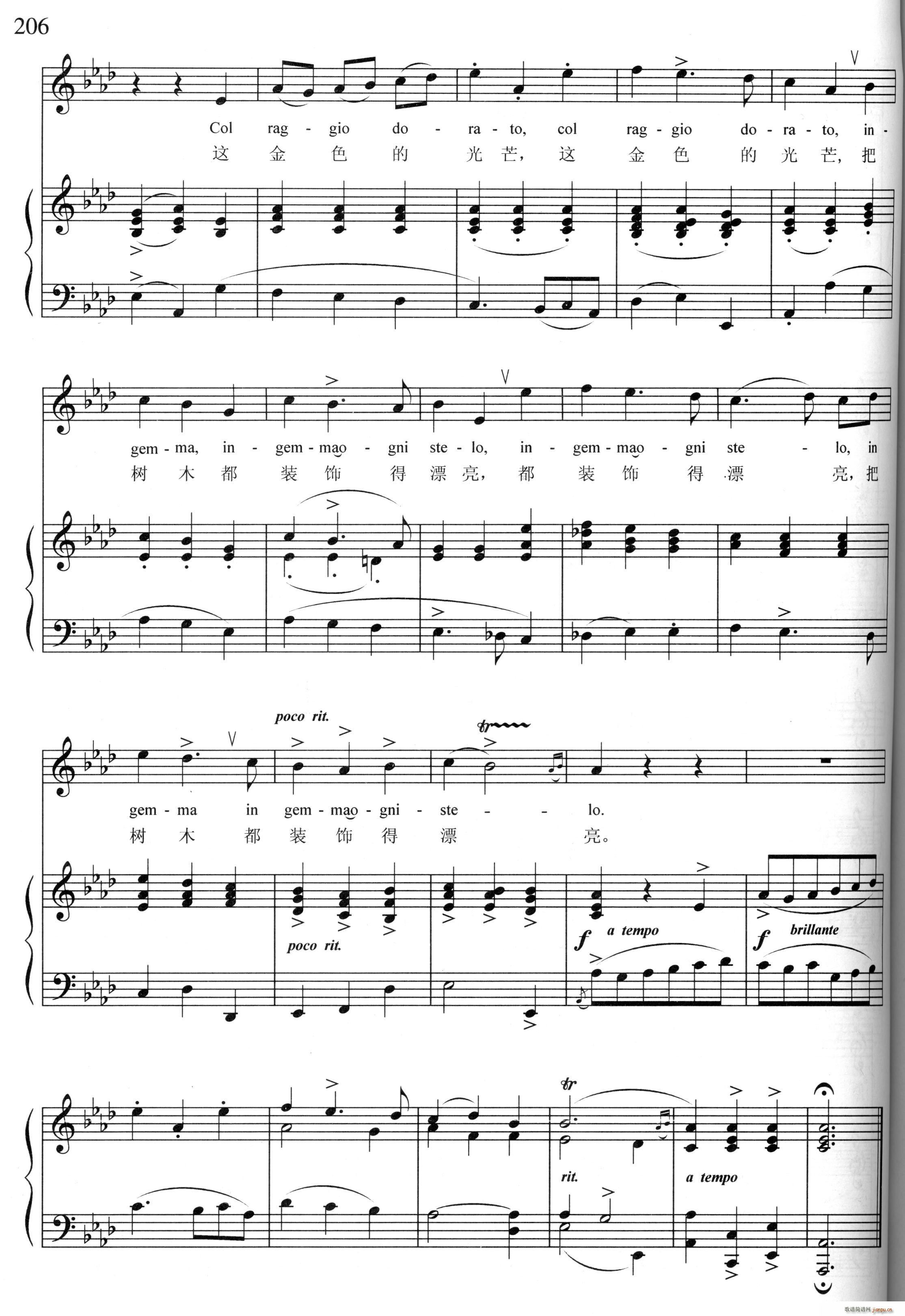 ���������̫�(y��ng)(���ָ��V)5