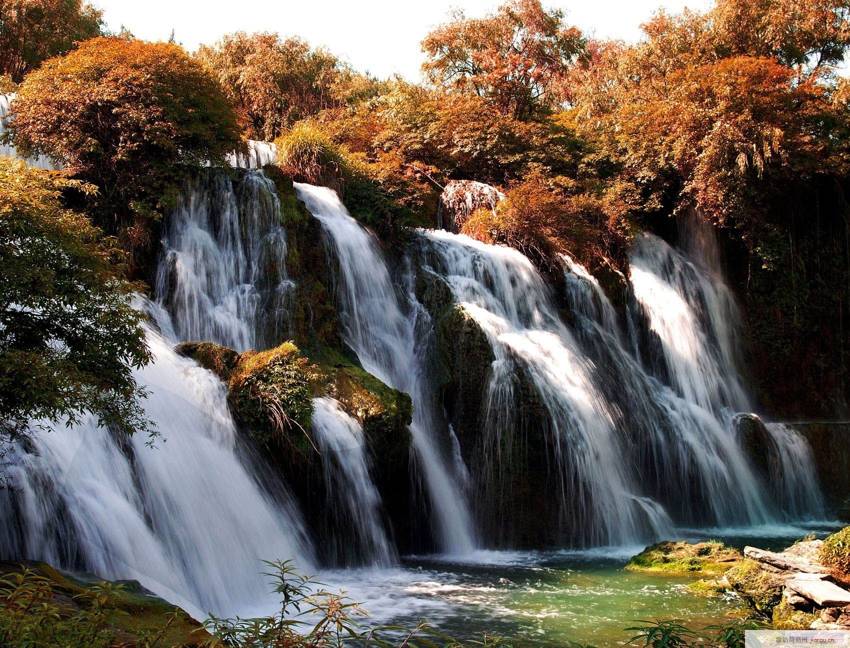 ���......(���ָ��V)3