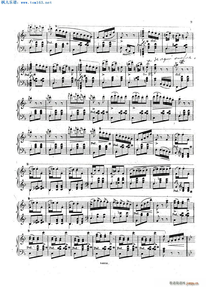 �軨Ů������(����V)8