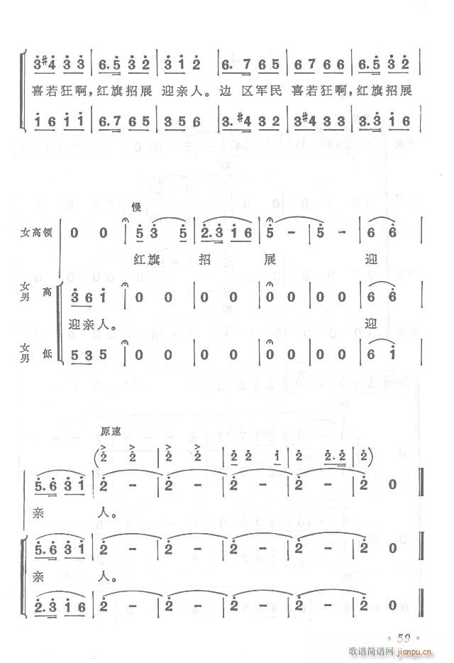 �t܊�����h���y  ���濂�V31-65(���V)33