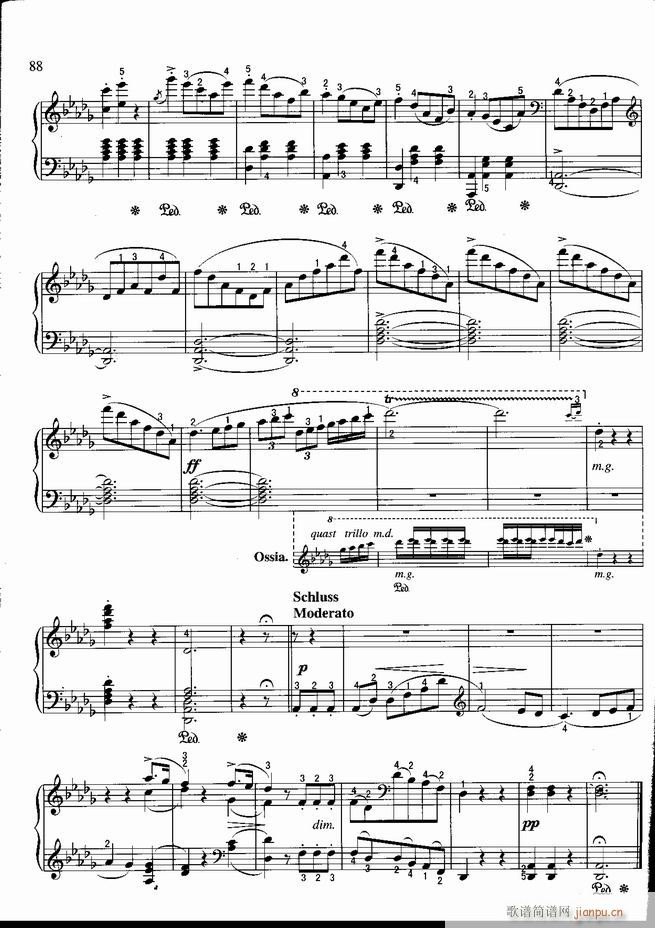 ��� ���ɲ����������������100�� ��(����V)88