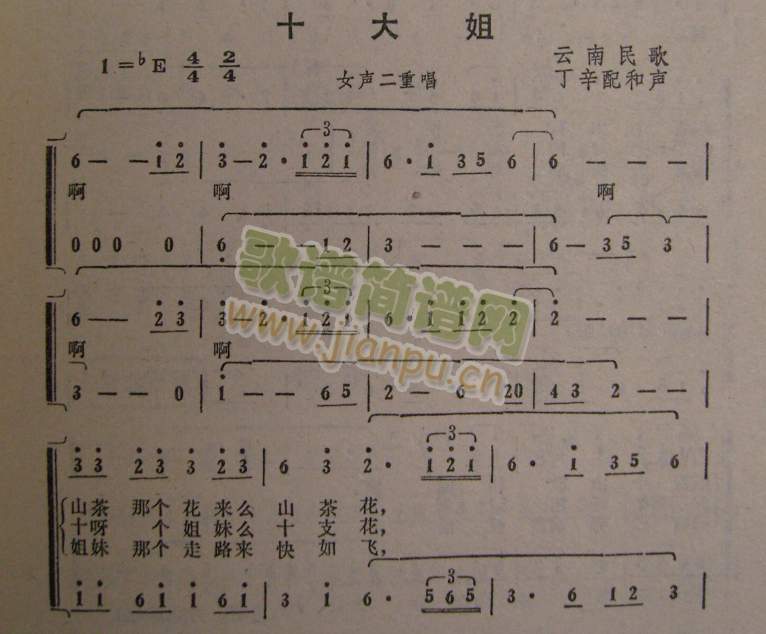 ʮ���(���ָ��V)1