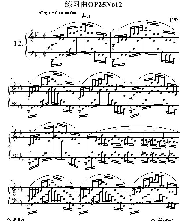 ������OP25No12-Ф��(����V)1