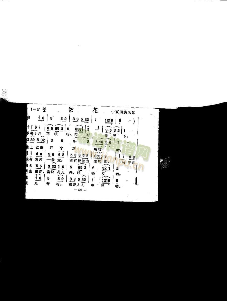 ����(���ָ��V)1