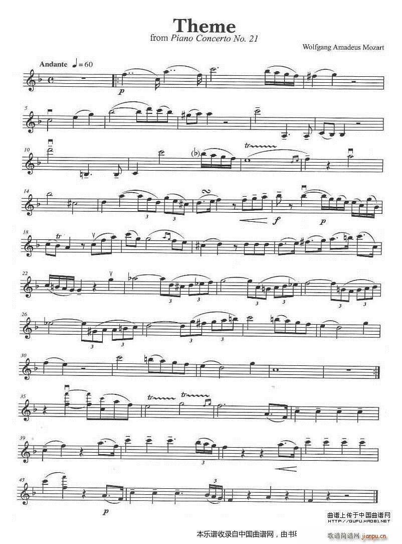 THEME(���ָ��V)1