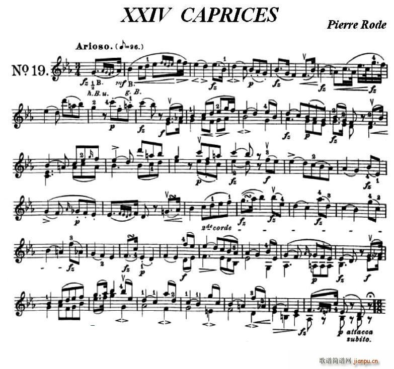 24��С���پ�����֮19(С�����V)1