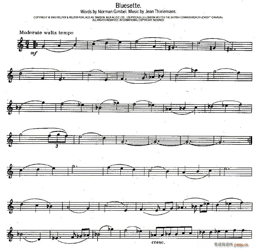 Bluesette(���ָ��V)1