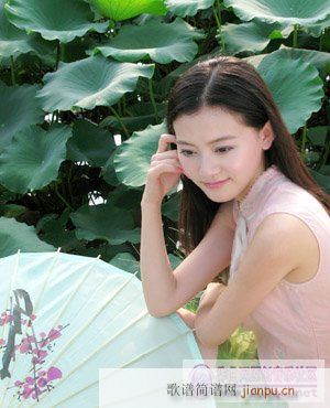 �¼�.�ºӕ���(���ָ��V)1