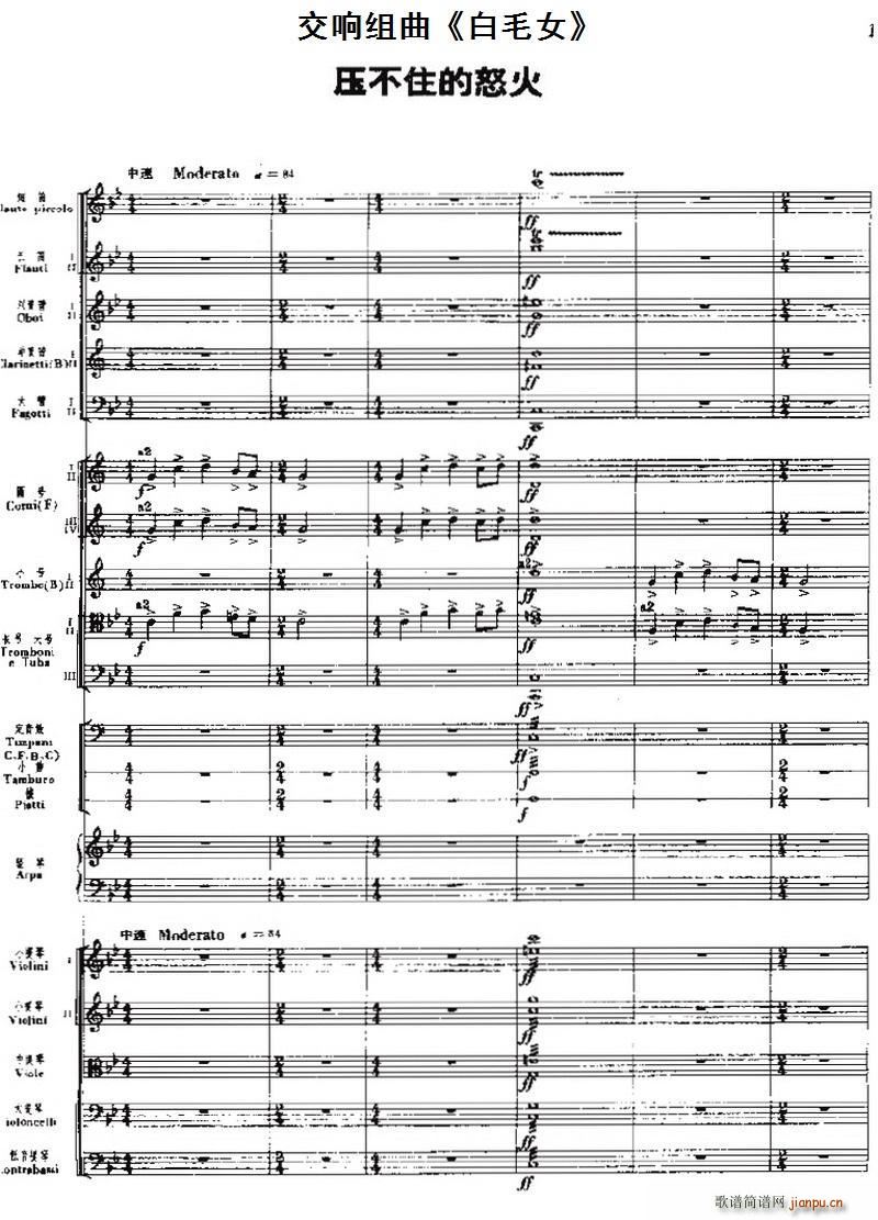 ��푽M�� ��ëŮ ����ס��ŭ��(���V)1