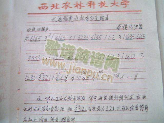 ���}���V(���ָ��V)1