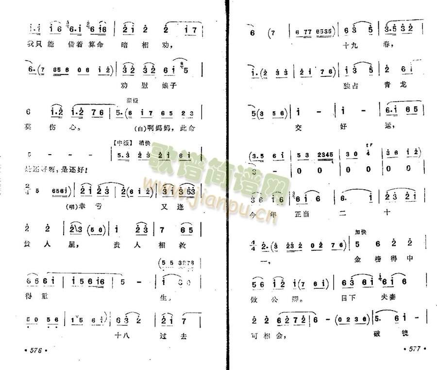 ����(����)5