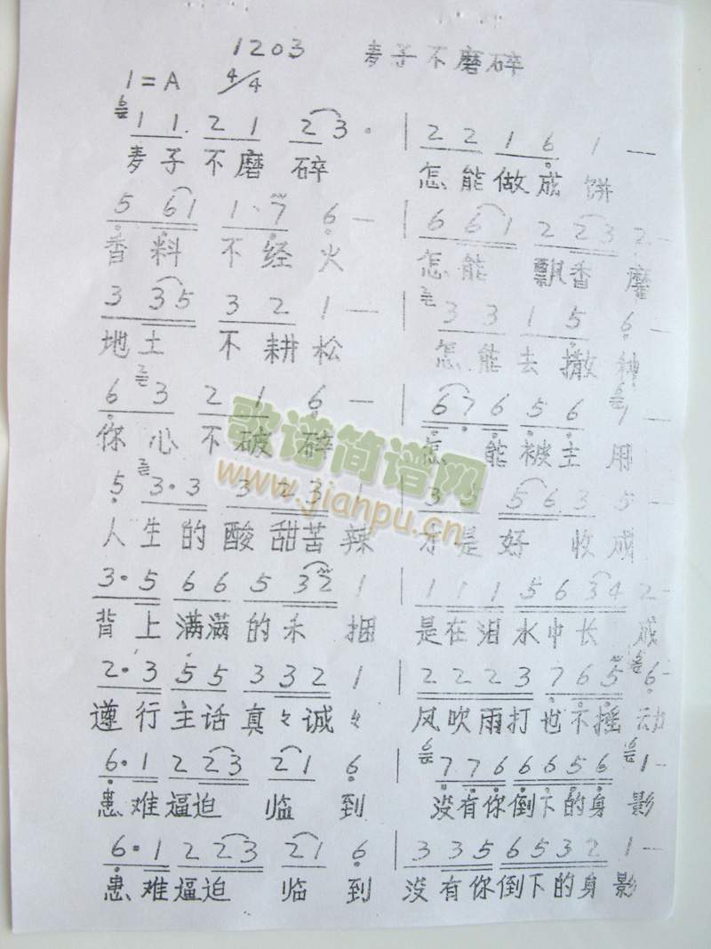 ���Ӳ�ĥ��(���ָ��V)1