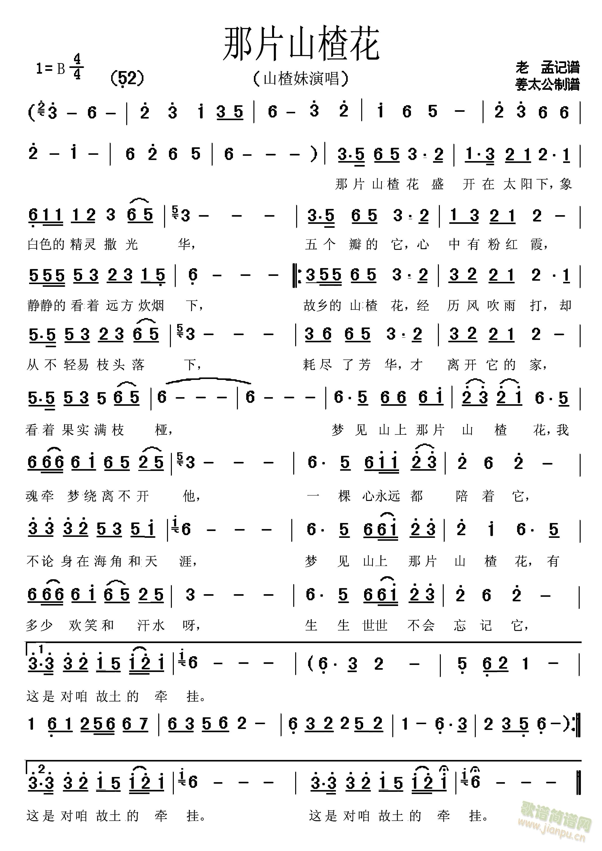 ��Ƭɽ髻�(���ָ��V)1