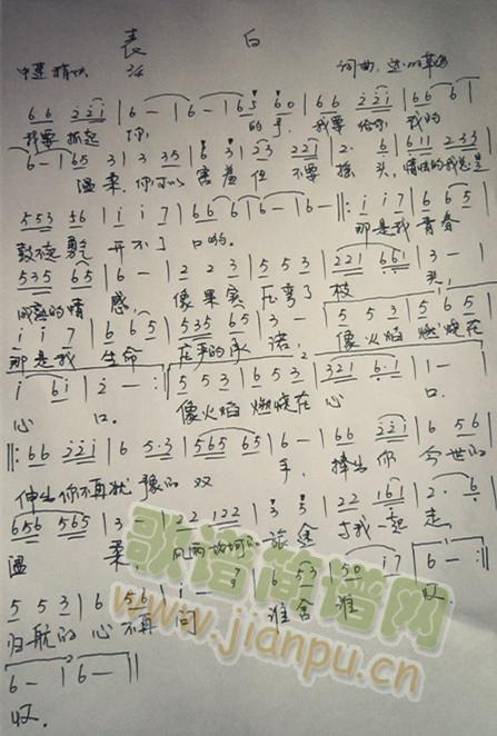 ����(���ָ��V)1